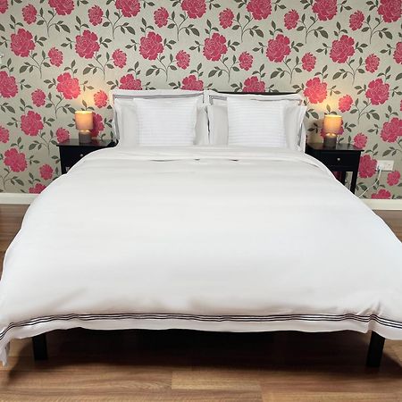 Entire Pinkapt - Free Parking - Up To 4 Guests - 3 Beds - Close To City Centre Belfast Dış mekan fotoğraf
